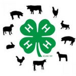 Circle with green 4-H emblem & livestock