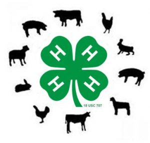 Cover photo for 11th Annual Perry & Doris Teeter Beef Leadership Institute