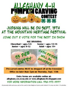 Cover photo for 4-H Pumpkin Carving Contest