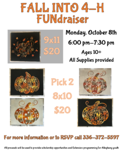 Cover photo for Fall Into 4-H FUNdraiser