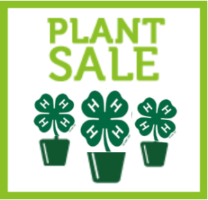 Cover photo for 2019 Alleghany 4-H Plant Sale