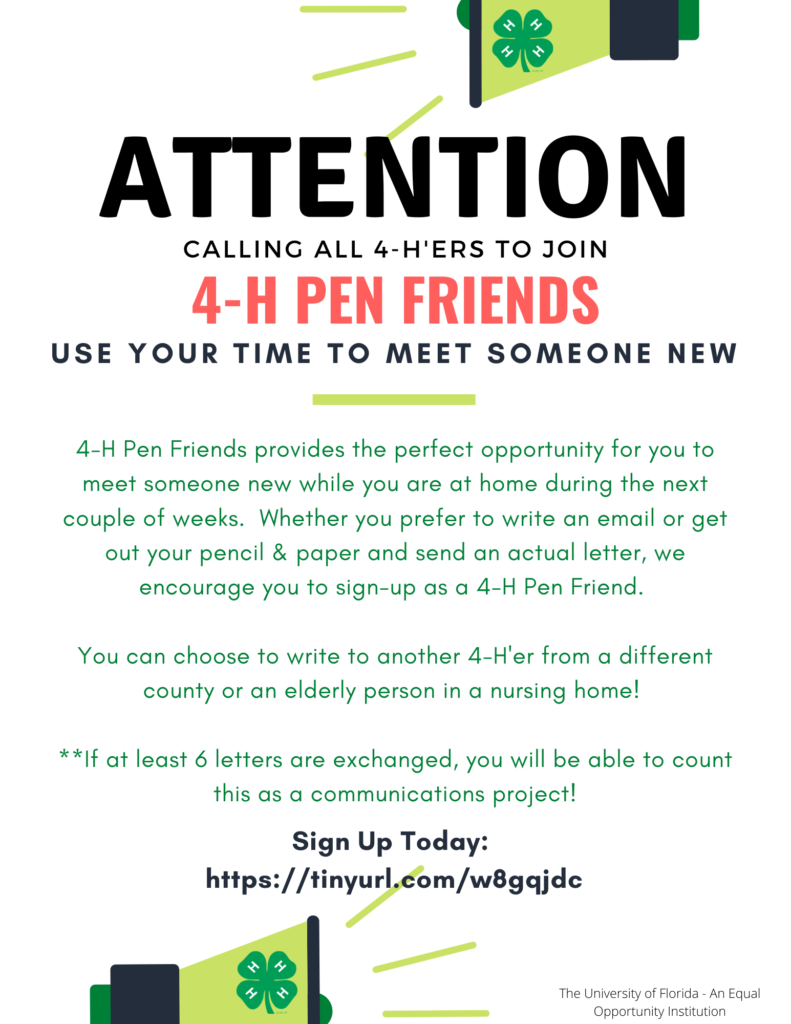 pen friends flyer