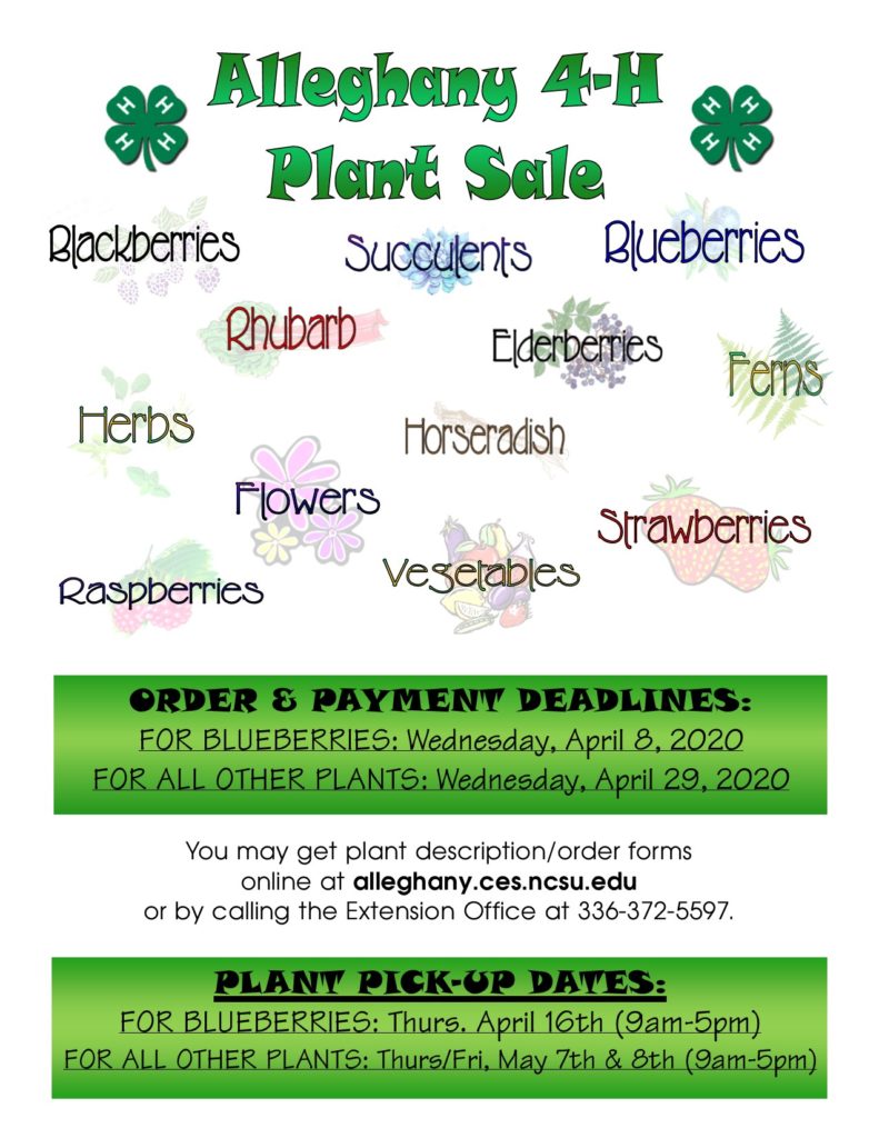 Alleghany 4-H 2020 Plant Sale Flyer