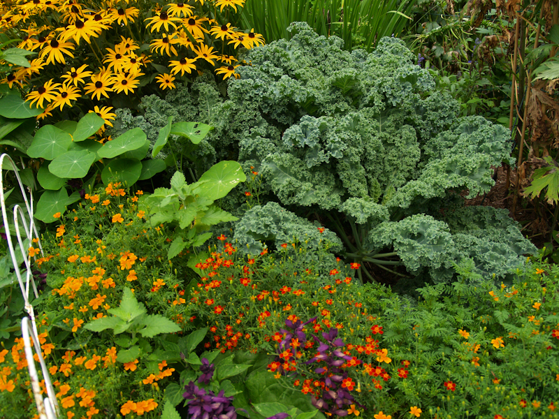 vegetable and flower bed