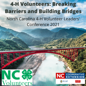 VLA Conference Flyer 2021
