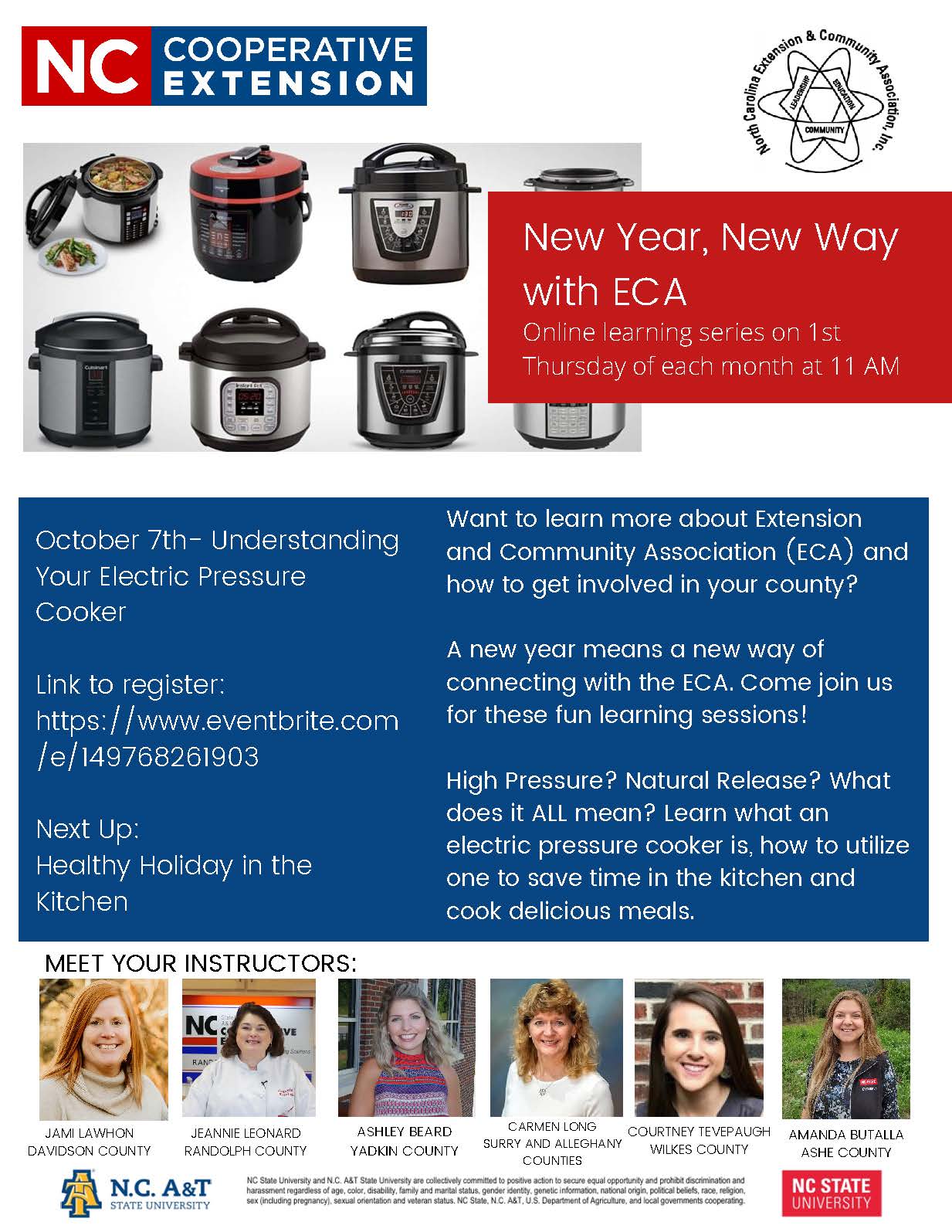 What is an Instant Pot, Extension