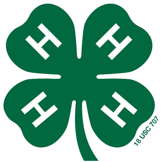 green 4-H clover