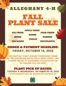 Plant Sale Flyer