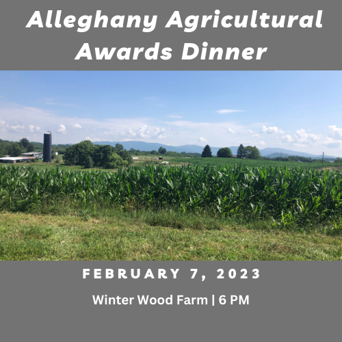 Awards Dinner Flyer