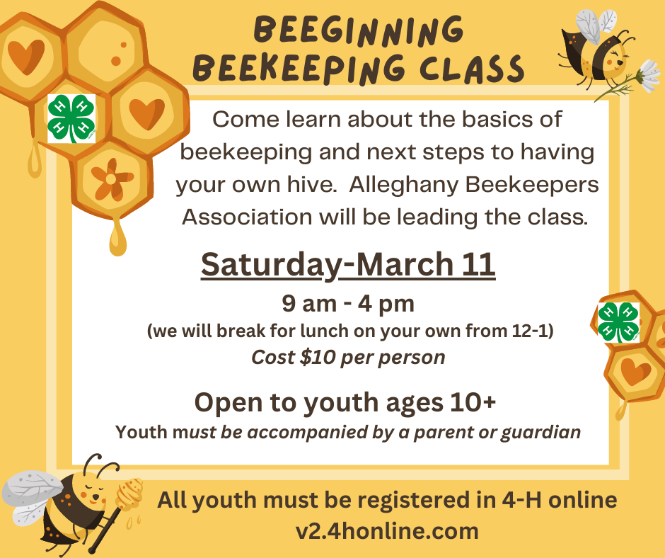 Beekeeping Flyer