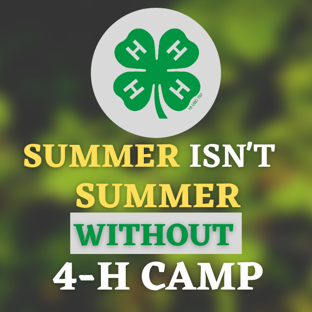 Image of clover with summer isn't summer without 4-H camp