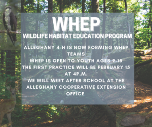 Cover photo for 2023 WHEP (Wildlife Habitat Education Program) teams forming