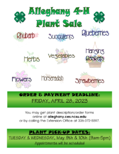 Plant Sale Flyer