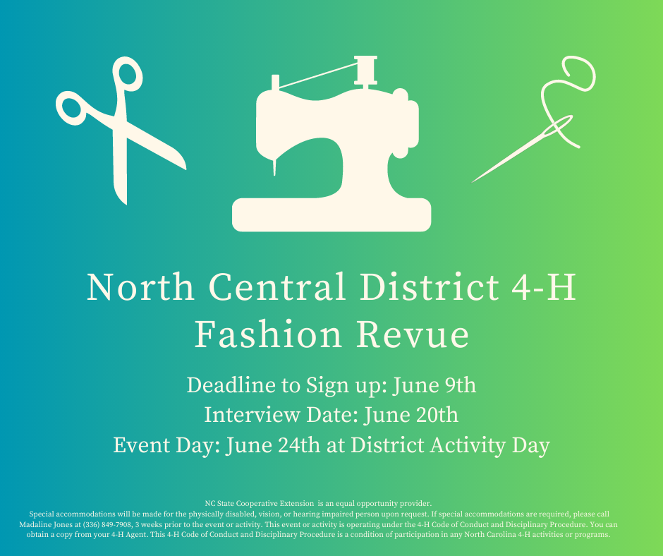 fashion revue flyer