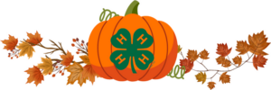 Pumpkin with 4-H clover image