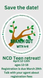 Teen Retreat Flyer: Branch Out With 4-H