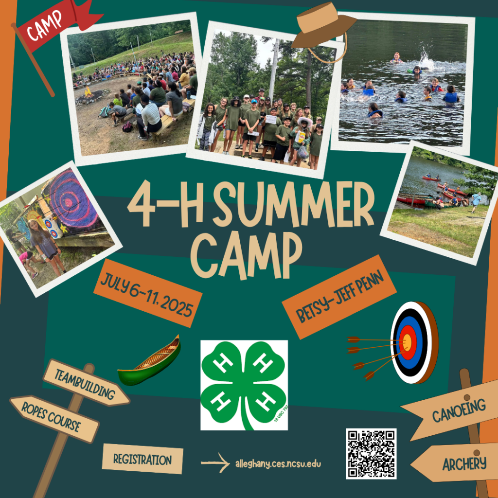 summer camp flyer