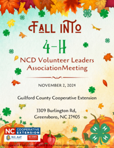 4-H Fall Day Flyer