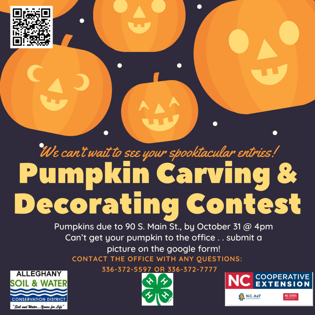 Pumpkin Carving and Decorating Contest