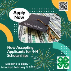 scholarship flyer