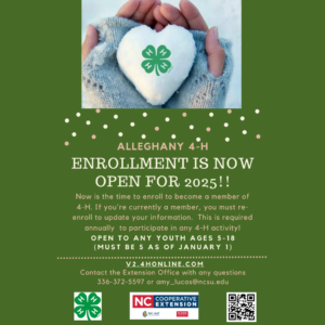 4-H online flyer