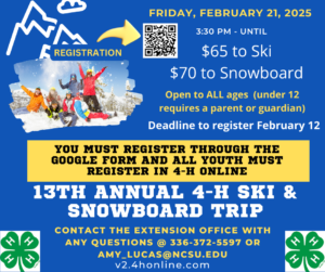 13th annual ski & snowboard flyer