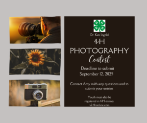 Dr. Kim Ingold Photography flyer
